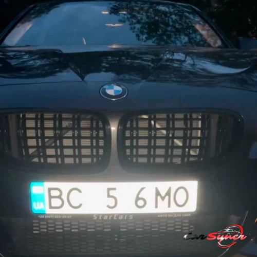 HighFlyin™ License Plate Stickers
